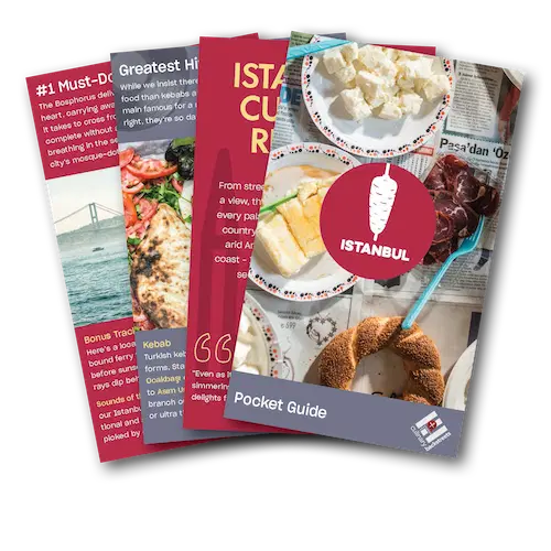 Pocket Guide Image