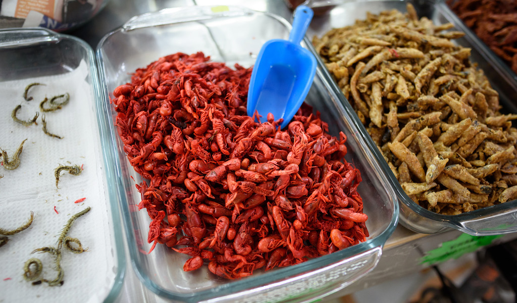 Culinary Innovation: Edible Insect Farming for Sustainable Nutrition