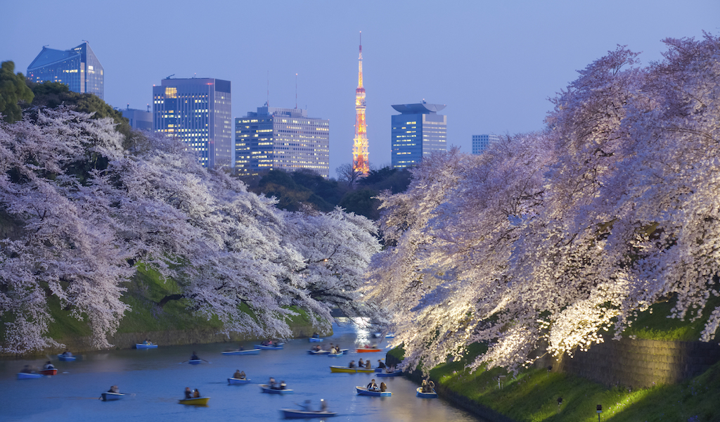 How To Celebrate Sakura Season In Tokyo Culinary Backstreets